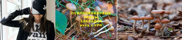 гашиш Вяземский