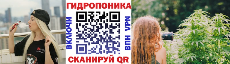Конопля семена  сколько стоит  Северодвинск 